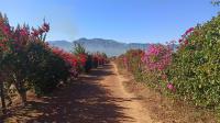 Spaces of property in Paarl