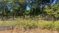 Smallholding for Sale for sale in Tzaneen