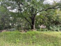  of property in Kya Sand