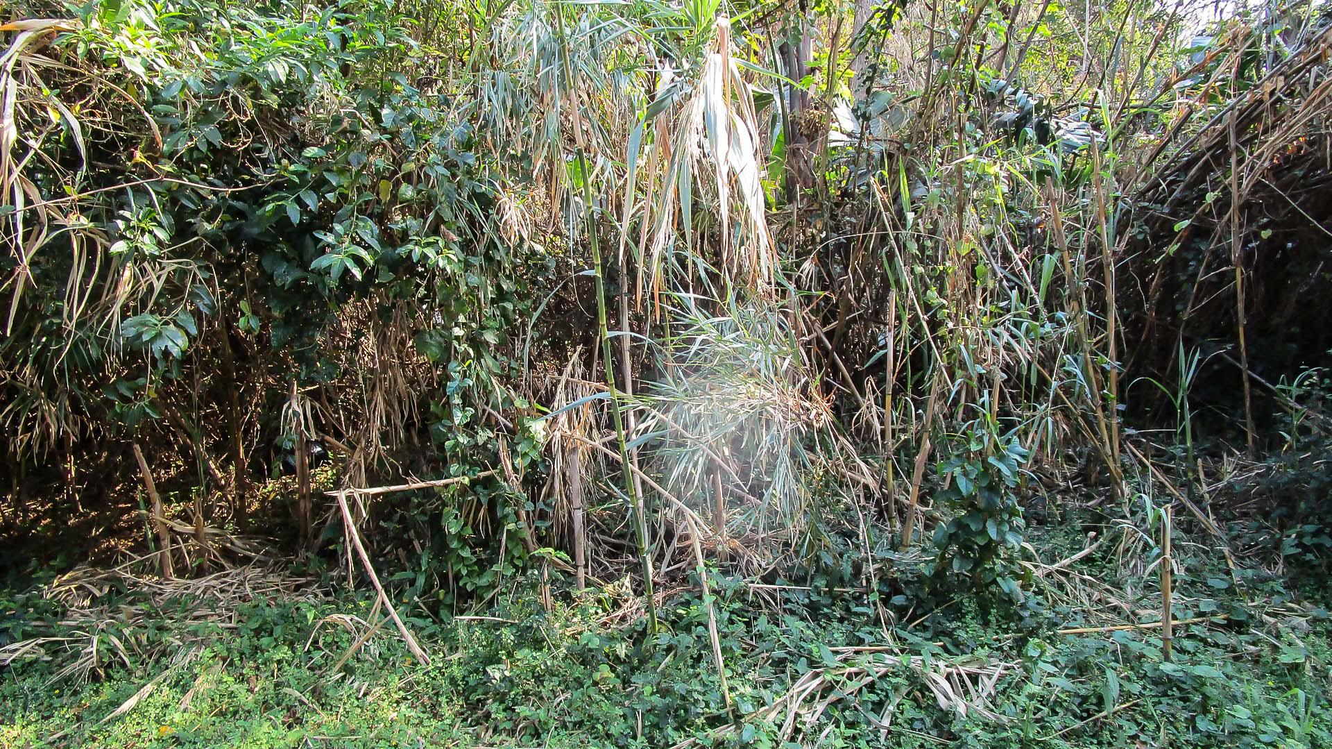 Front View of property in Melville KZN