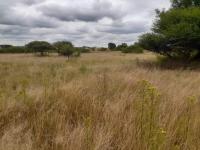  of property in Polokwane