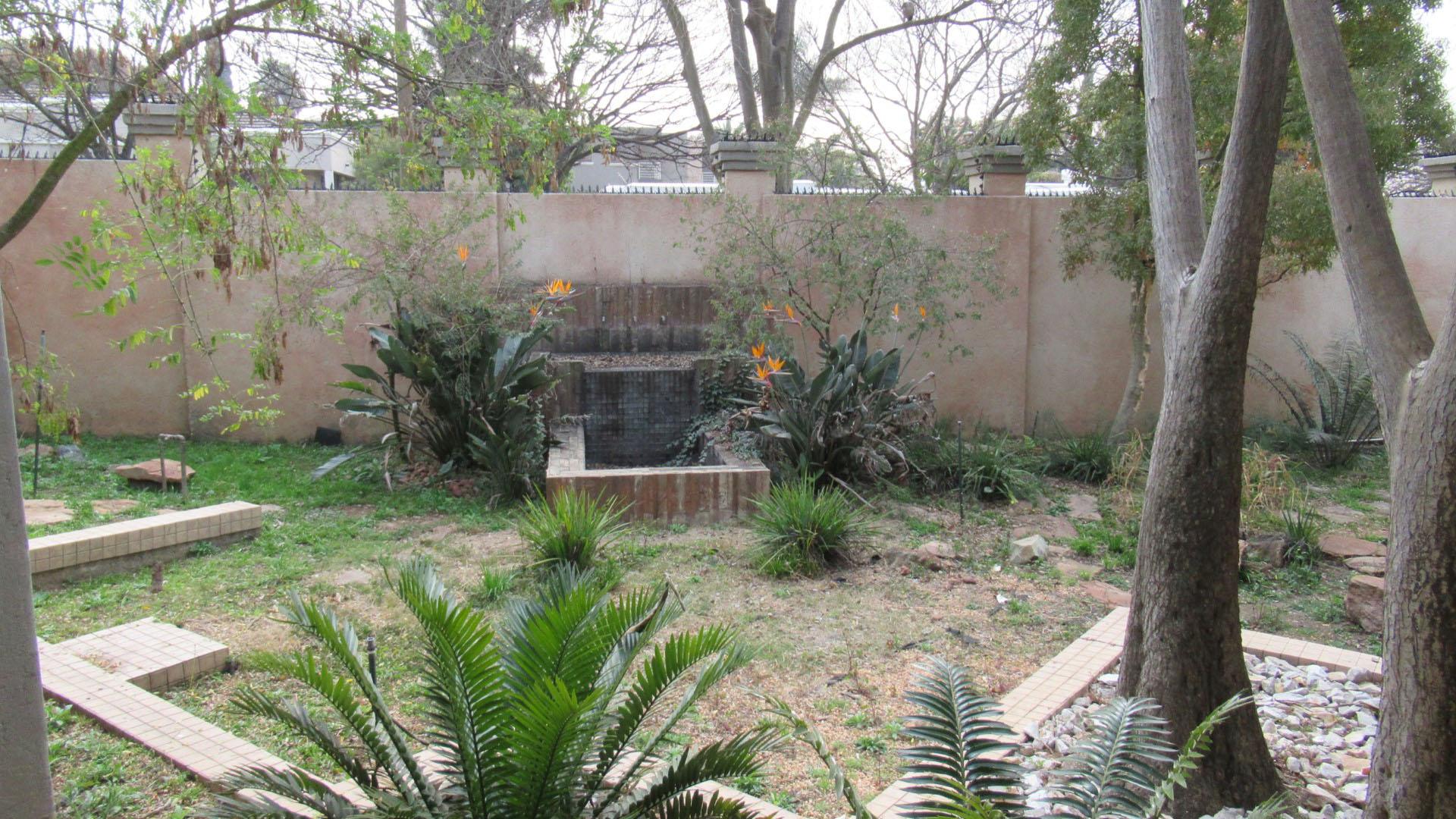 Backyard of property in Benoni
