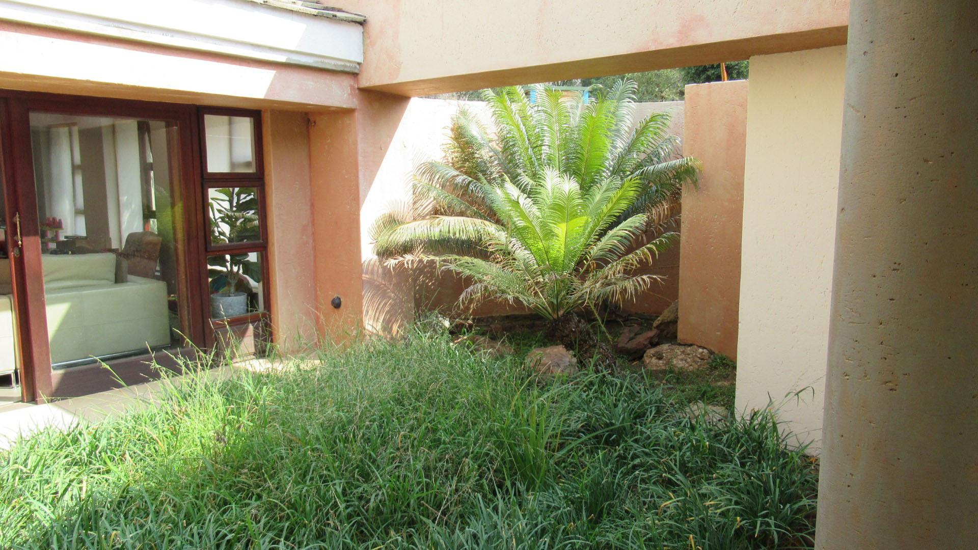 Backyard of property in Benoni