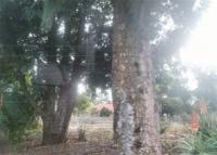 Front View of property in Avalonia AH