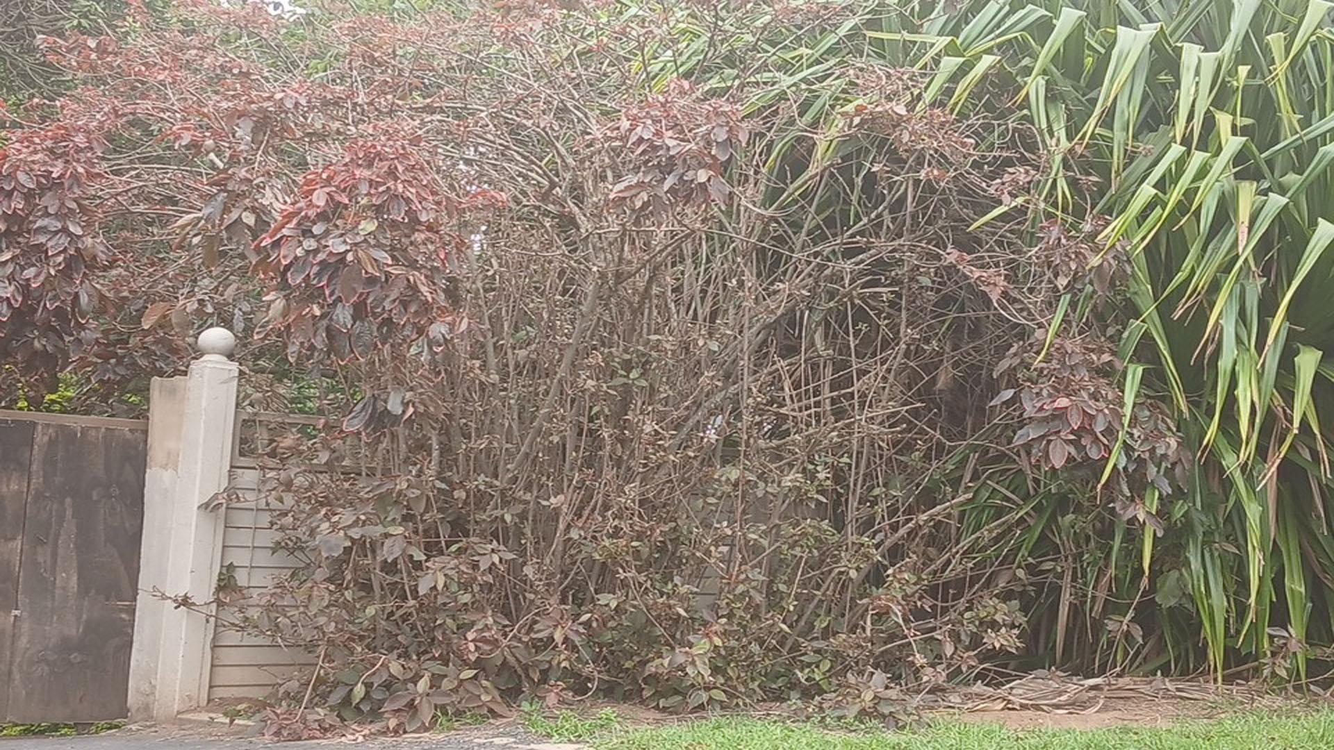 Front View of property in Shelly Beach