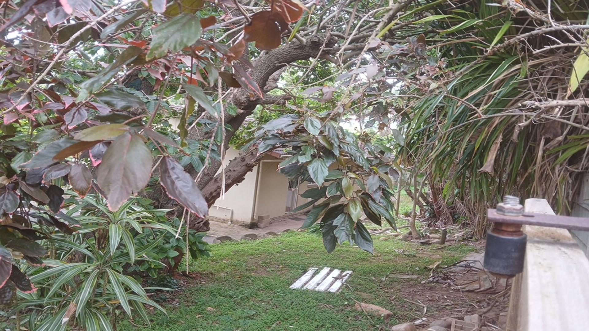 Backyard of property in Shelly Beach