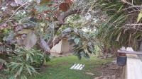 Backyard of property in Shelly Beach