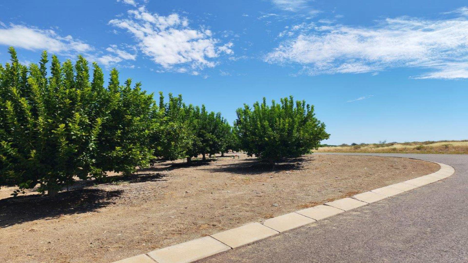 Spaces of property in Belle Rio Lifestyle Estate