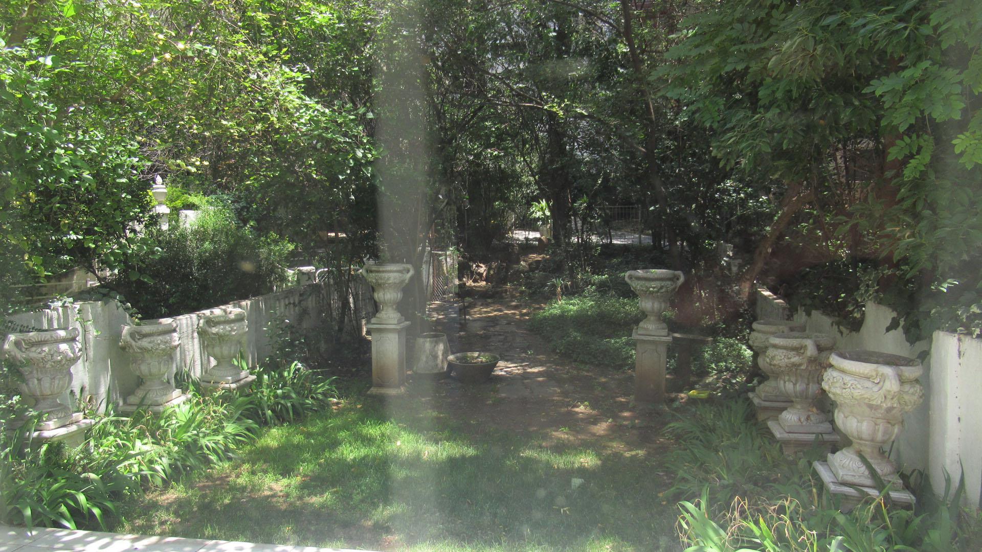 Backyard of property in Sandown