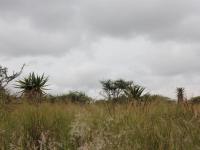  of property in Tweefontein