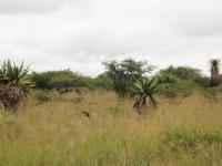  of property in Tweefontein