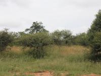  of property in Tweefontein