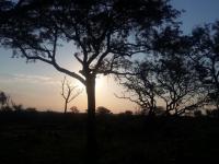 Land for Sale for sale in Hoedspruit