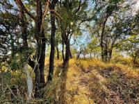 Land for Sale for sale in Hoedspruit