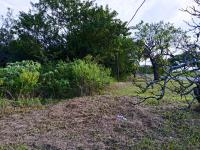 Land for sale in Mount Moreland