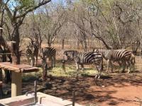  of property in Hoedspruit