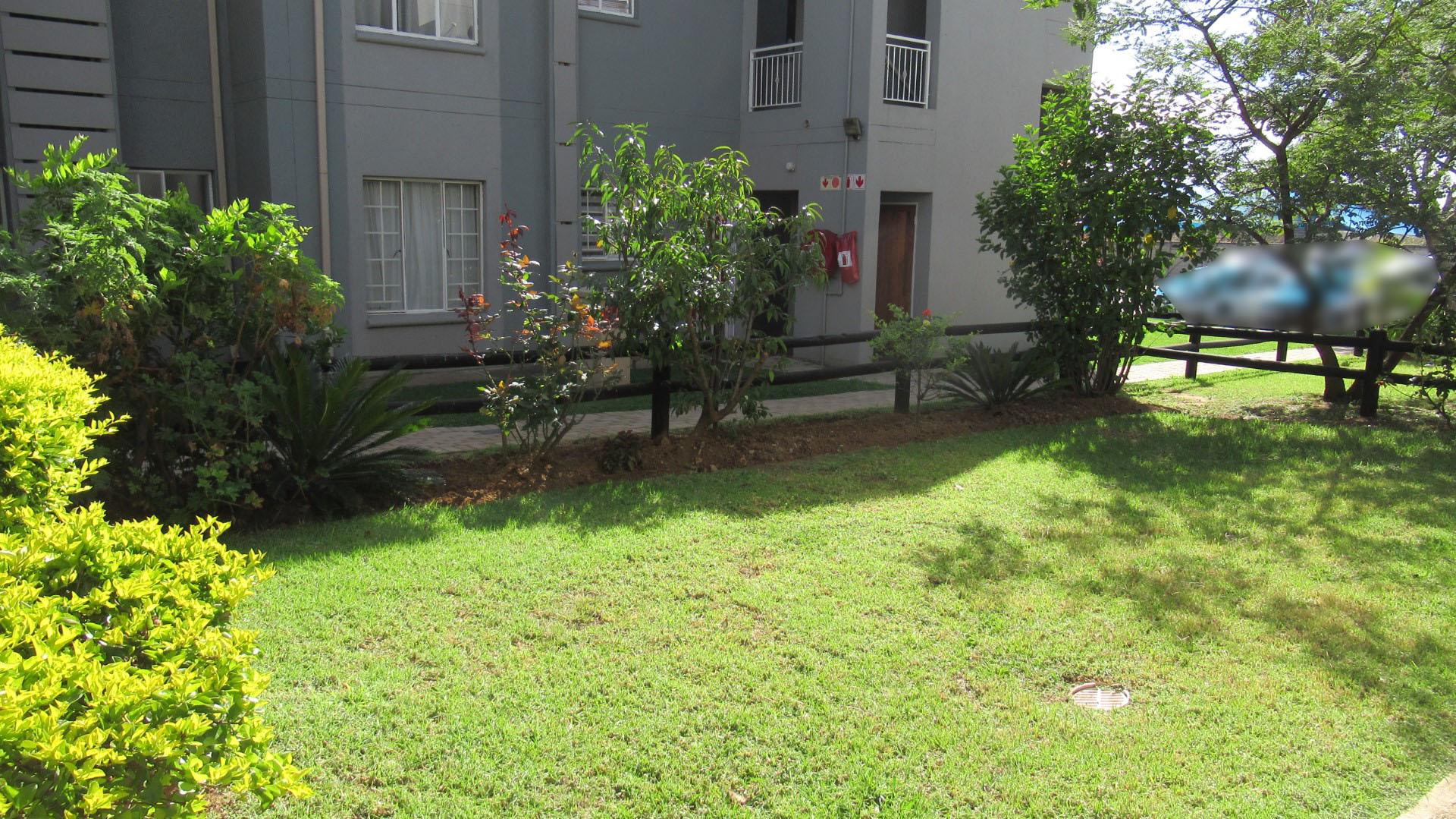 Backyard of property in Parkhaven