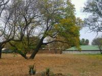  of property in Polokwane
