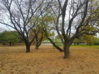  of property in Polokwane