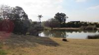 Backyard of property in Norton's Home Estates