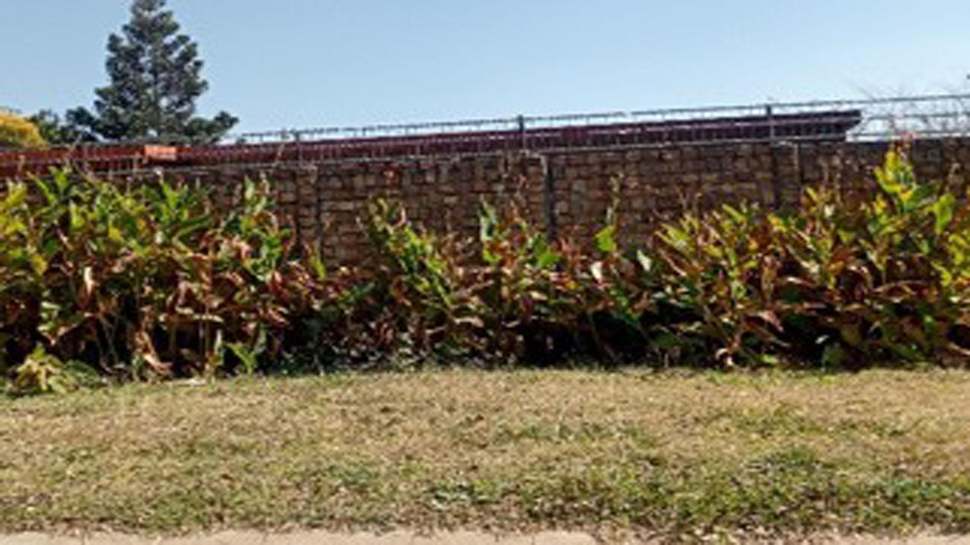 Front View of property in Brenthurst