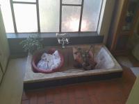 Bathroom 3+ of property in Potchefstroom