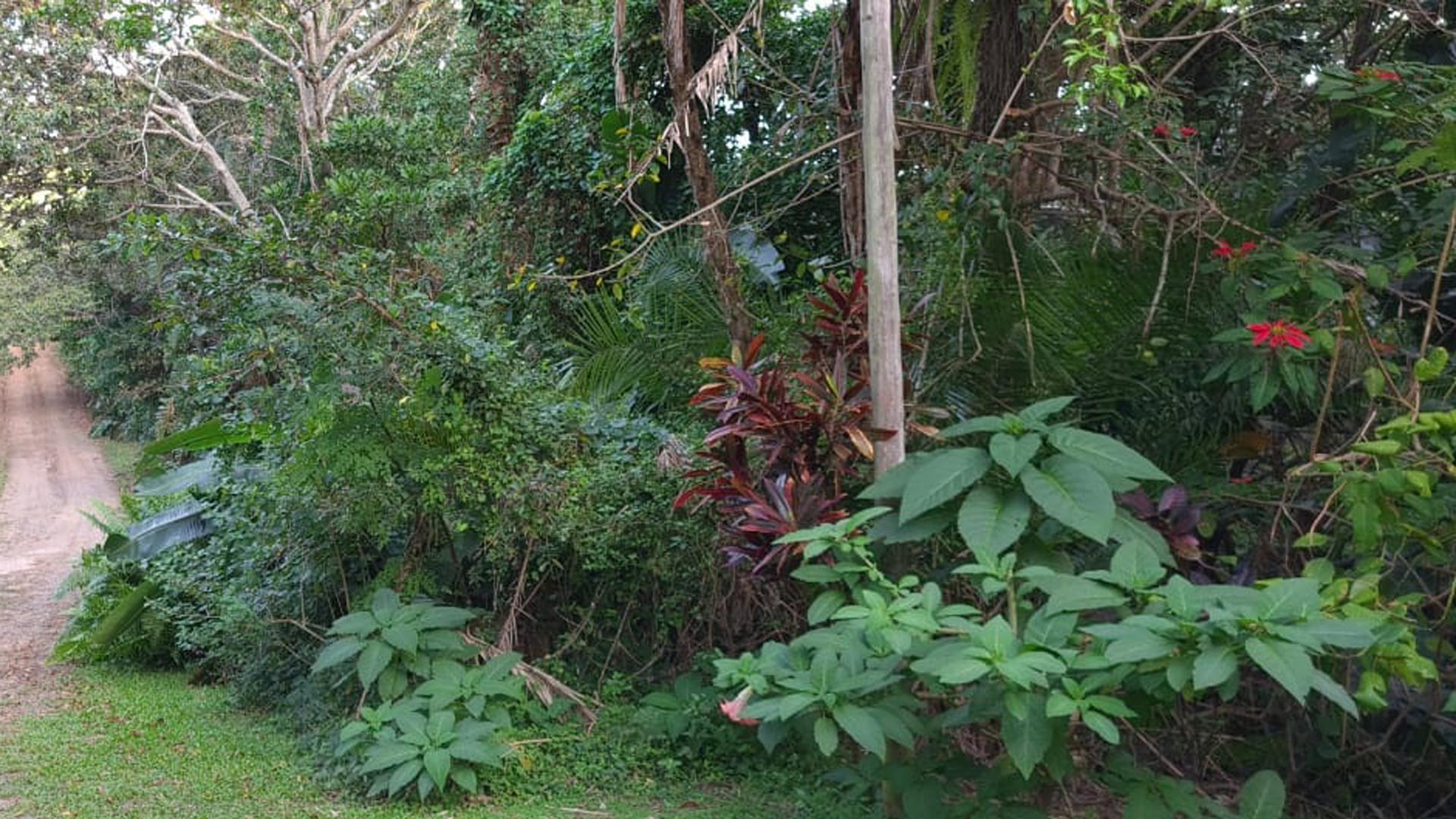 Front View of property in Leisure Bay