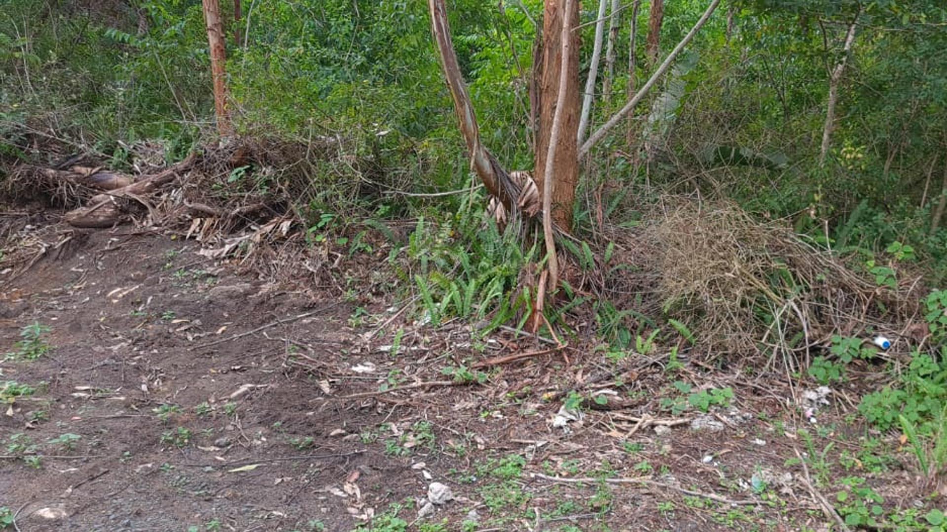 Front View of property in Leisure Bay