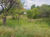 Land for Sale for sale in Cashan