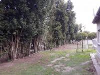 Backyard of property in Humansdorp