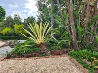  of property in Polokwane