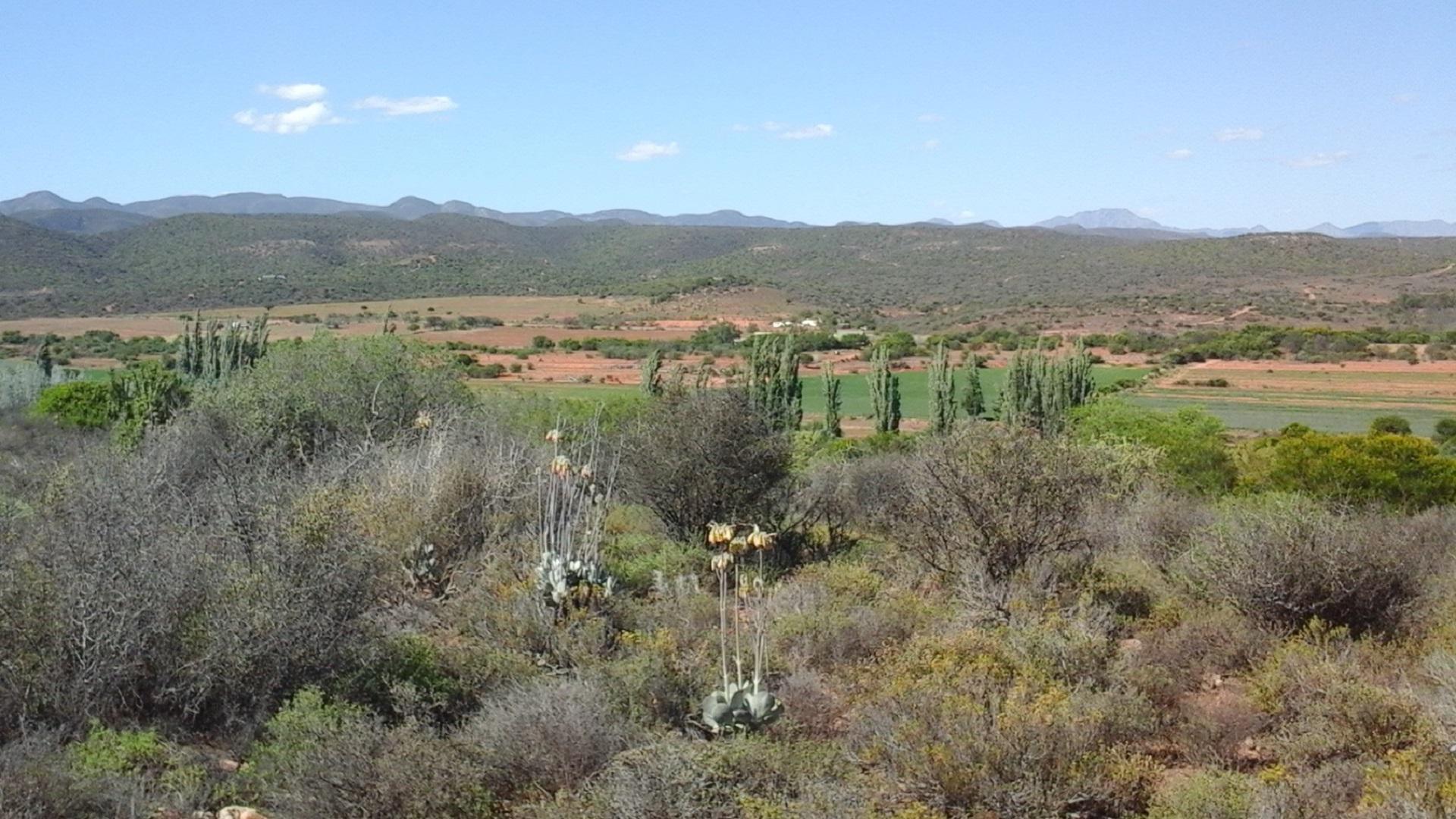 Spaces of property in Oudtshoorn