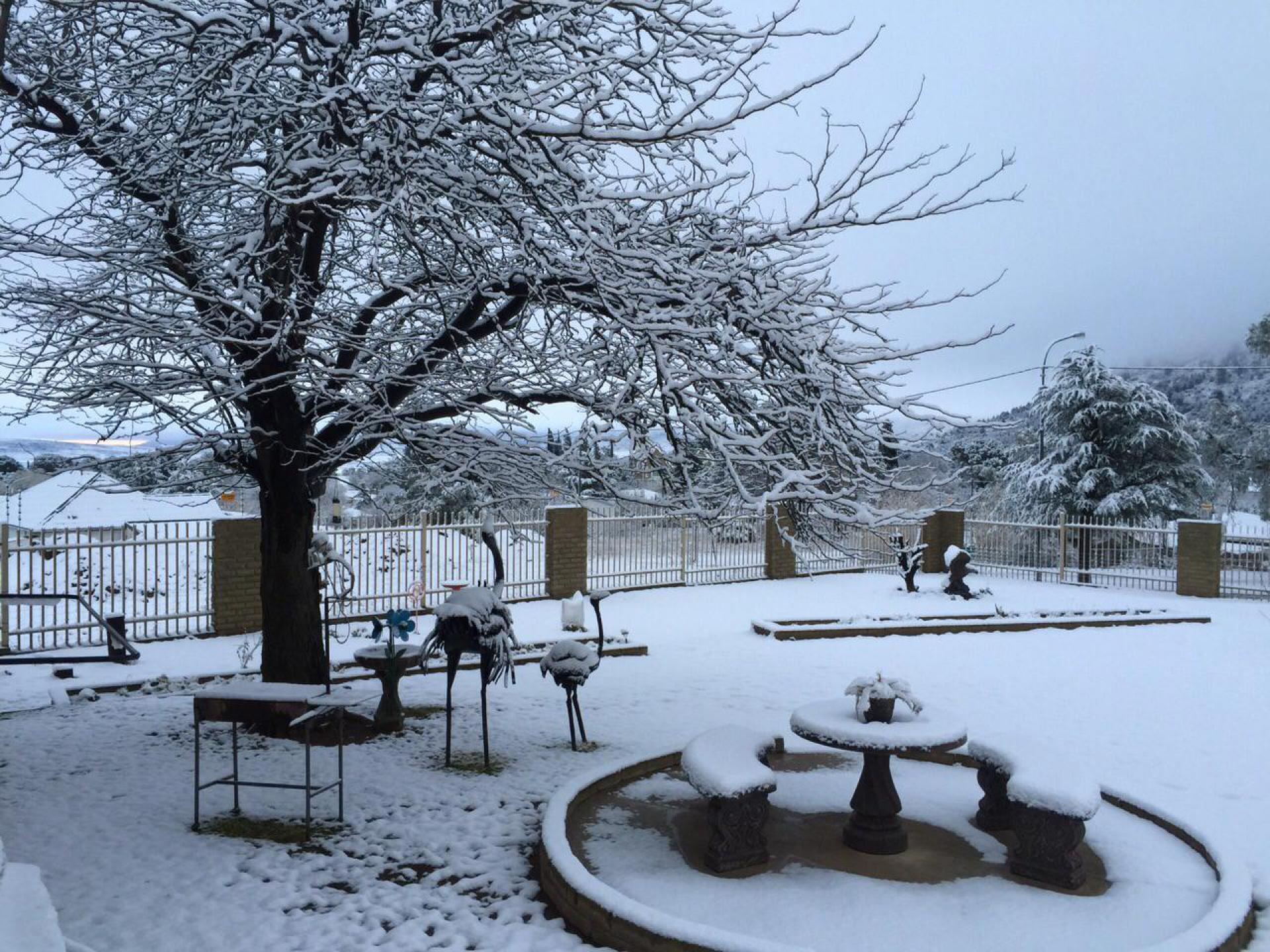 Backyard of property in Lady Grey