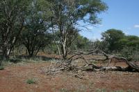 Front View of property in Northam