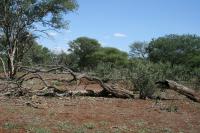 Front View of property in Northam