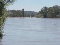 Farm for Sale for sale in Parys