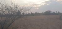 Smallholding for Sale for sale in Kameeldrift