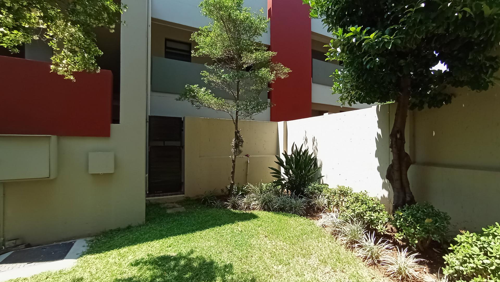 Backyard of property in Beverley