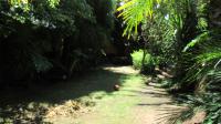 Backyard of property in The Gardens