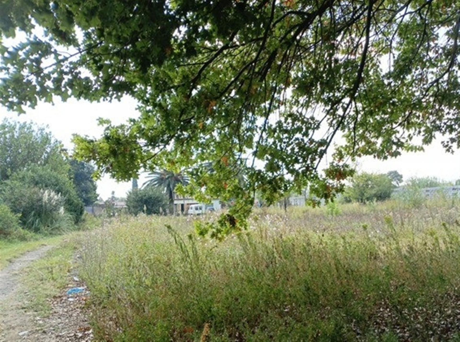 Front View of property in Bethal