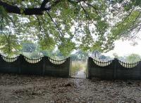 Front View of property in Bethal