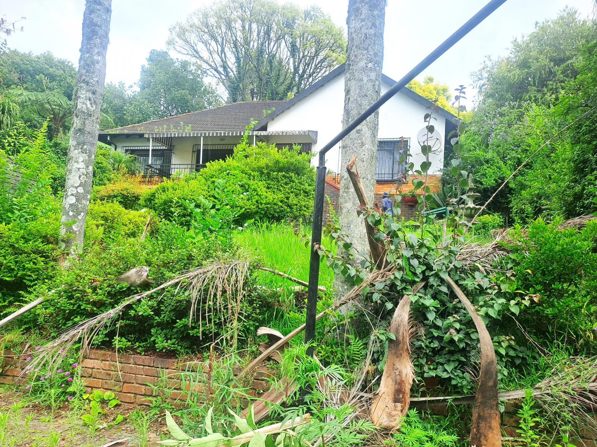 Backyard of property in Sabie