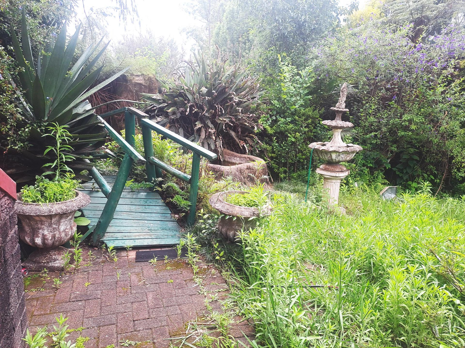 Backyard of property in Sabie