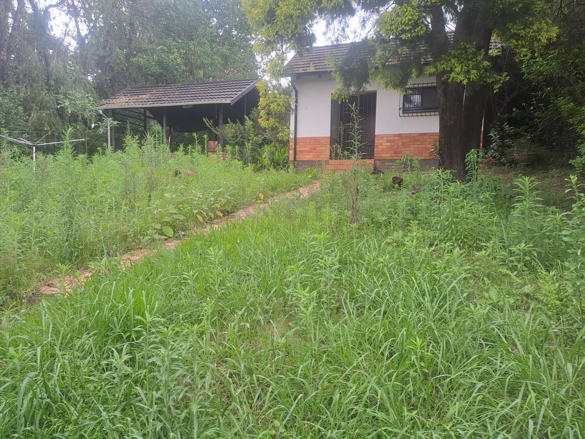 Backyard of property in Sabie