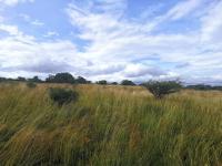  of property in Bendor