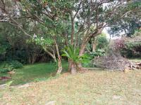 Backyard of property in Southport