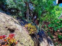  of property in Mulbarton