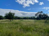 Smallholding for Sale for sale in Kameelfontein