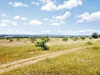  of property in Polokwane