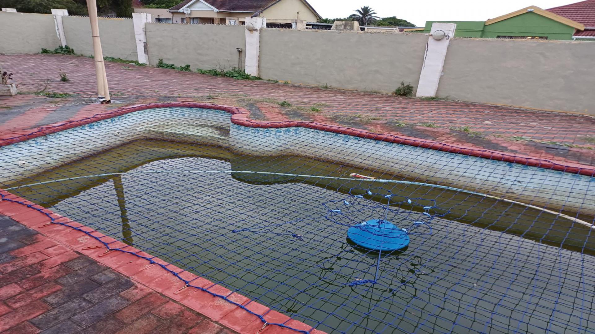 Backyard of property in Despatch